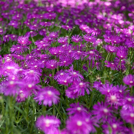 The Originals City, La Closerie, Nantes Nord 3*